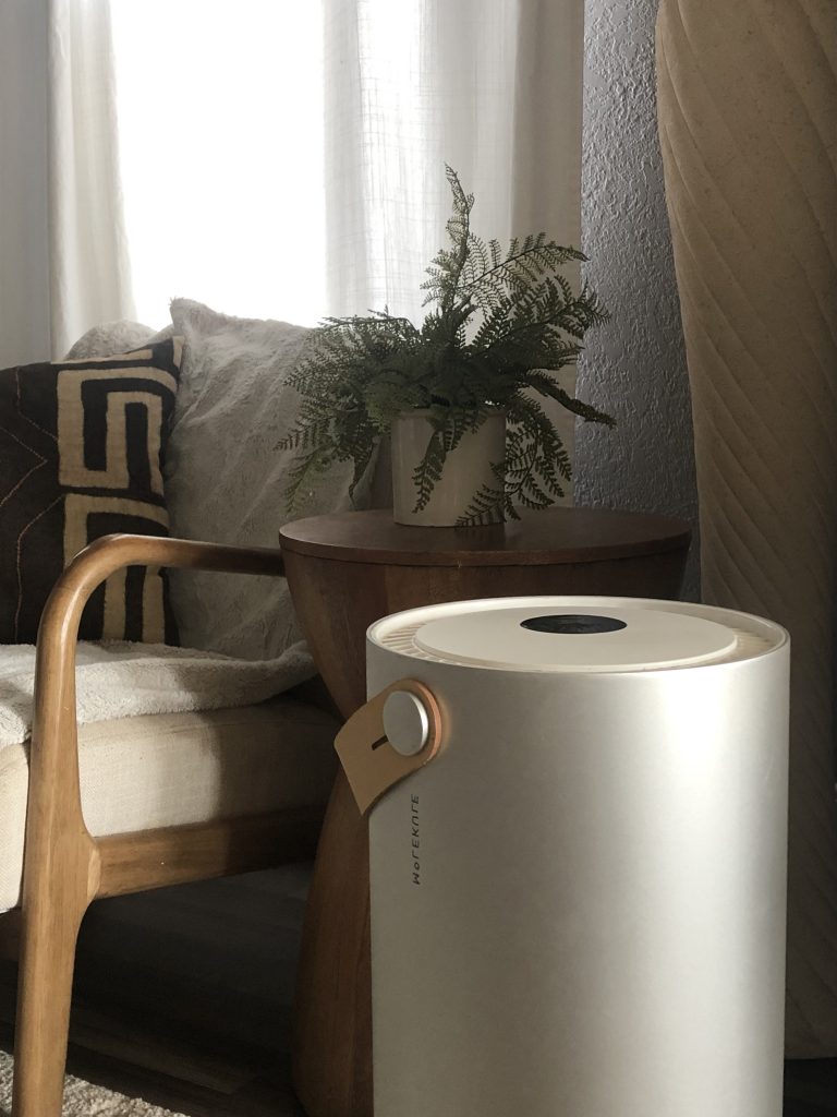 Air purifer for the home molekule