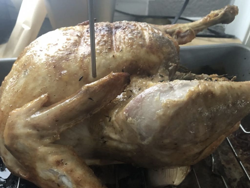 simple roasted turkey recipes checking temperate with meat thermometre 