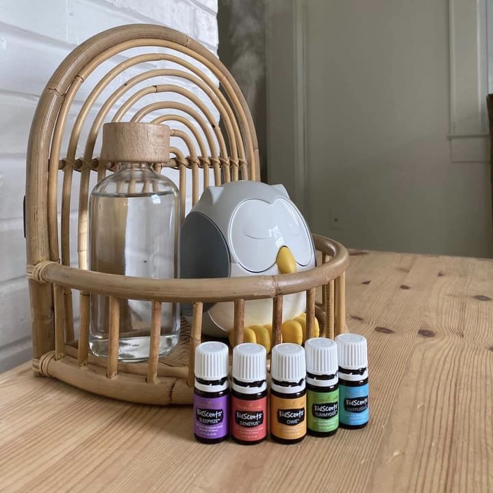 favorites owl diffuser with 5 essential oils