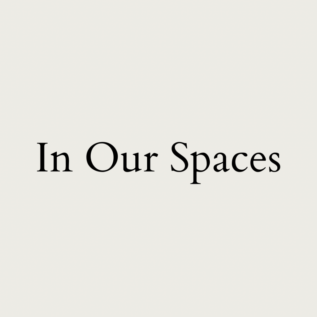 in our spaces blog logo