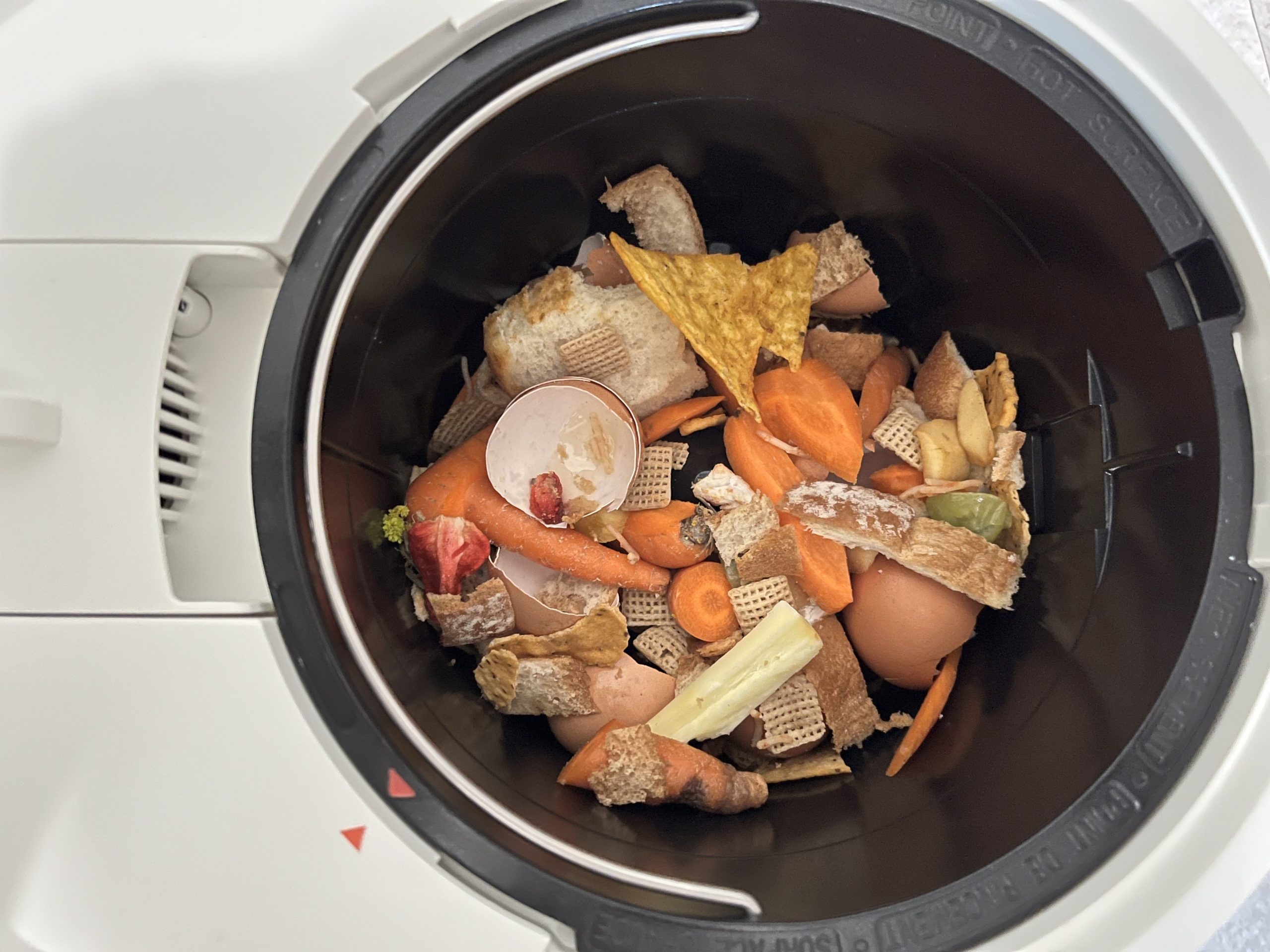 image of food scraps in compost
