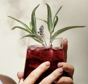 image of hand holding tea, benefits green tea