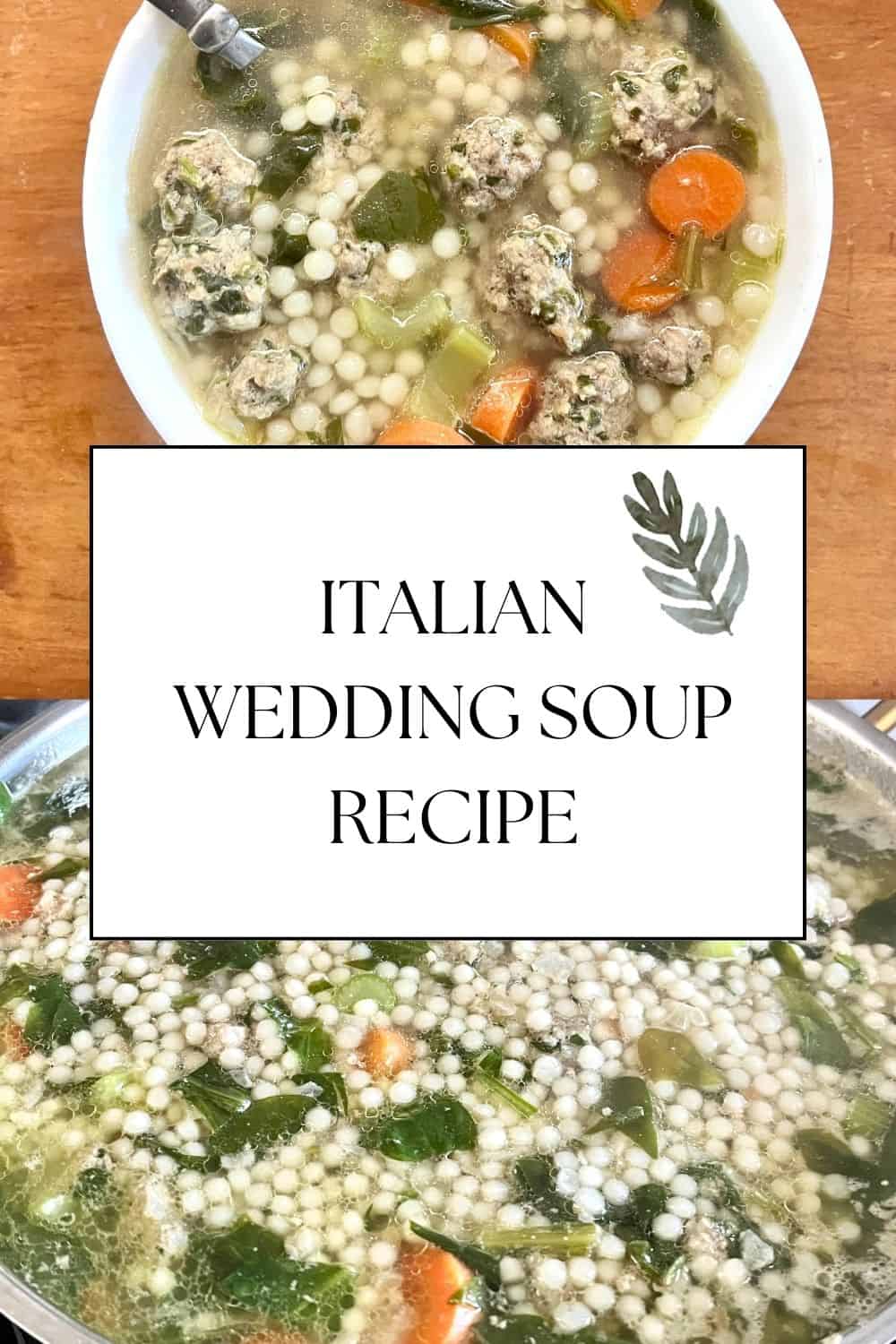 Italian wedding soup recipe