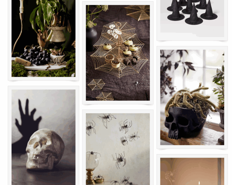 A collection of classy Halloween decorations, including black skulls with plants, gold spiderweb trays with treats, faux spiders on the wall, witch hats, and candlelit accents for chic Halloween decor